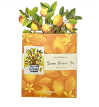 Load image into Gallery viewer, FreshCut Paper Pop-Up Flower Bouquet - Lemon Blossom Tree
