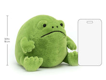 Load image into Gallery viewer, Jelly Cat - Ricky Rain Frog
