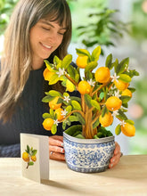 Load image into Gallery viewer, FreshCut Paper Pop-Up Flower Bouquet - Lemon Blossom Tree
